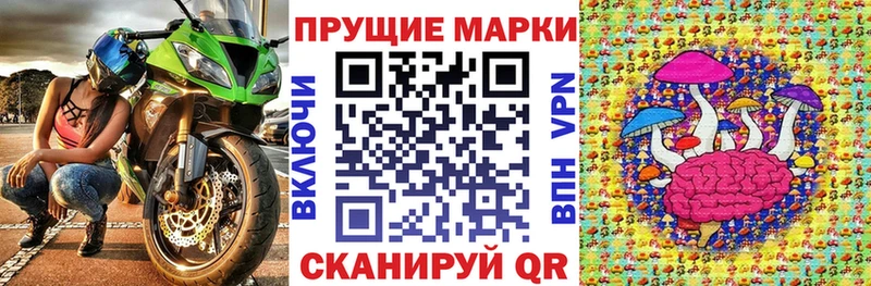 Купить закладки  Грязовец  Марки 25I-NBOMe 1500мкг 
