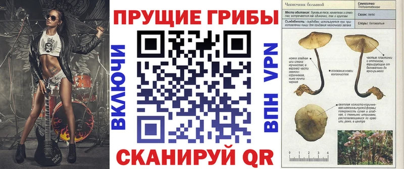 Купить закладки  Грязовец  Псилоцибиновые грибы ЛСД 